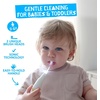 image:imageJack N Jill Tickle Tooth Sonic Toothbrush 1 Pack  Replacement HeadsElectric Toothbrush